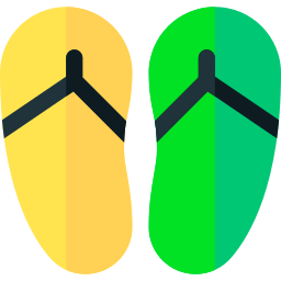 Flip flops icon