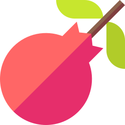 Pomegranate icon