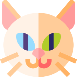 Van cat icon