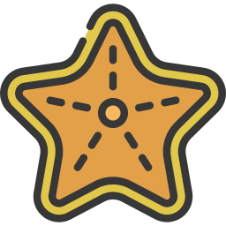 Starfish icon