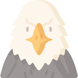 Eagle icon