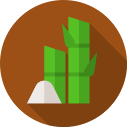 Sugar cane icon