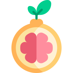 grapefruit icon