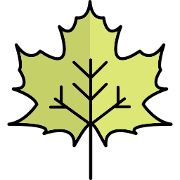 Maple leaf icon