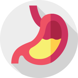 Stomach icon