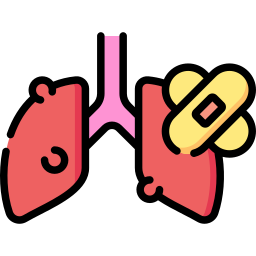 Lung icon