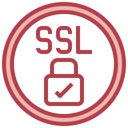 ssl icon