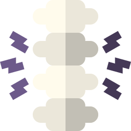 Spine icon