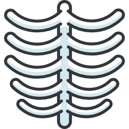 Ribs icon