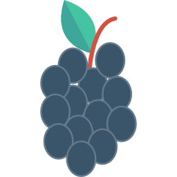 Blueberry icon