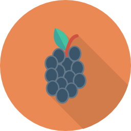 Blueberry icon