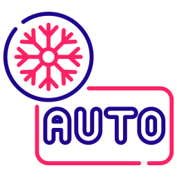 auto Icône