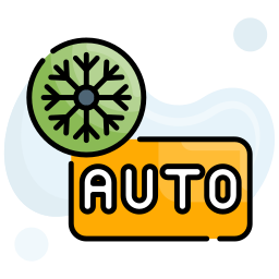 auto icon