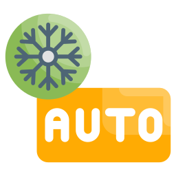 auto icon