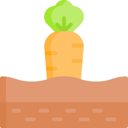 Carrot icon