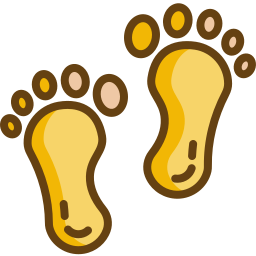 Footprint icon