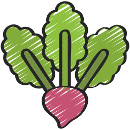 Radish icon