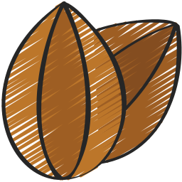 Sunflower seed icon