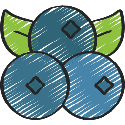 Blueberries icon