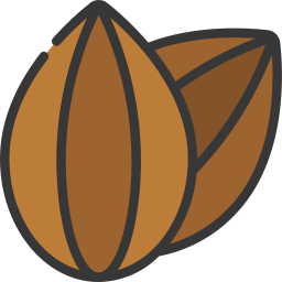 Sunflower seed icon