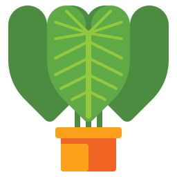 Philodendron icon