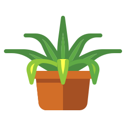 Spider plant icon