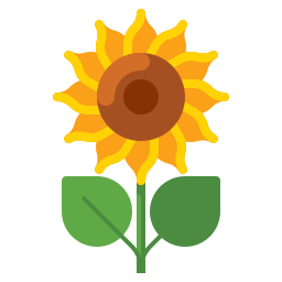 Sunflower icon