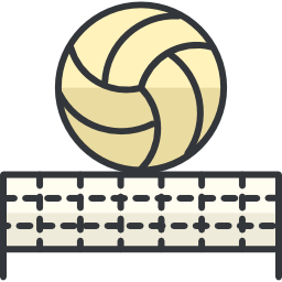 volleyball icon