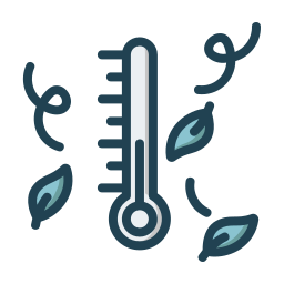 Temperature icon