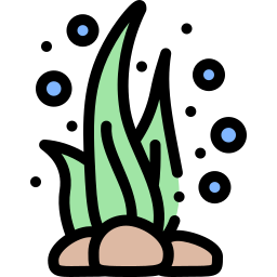 Algae icon