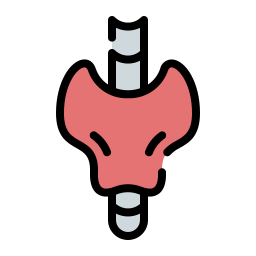 Thyroid icon