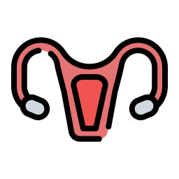 Uterus icon