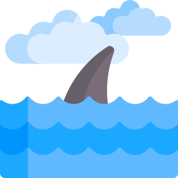 Shark icon