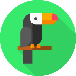 toucan Icône