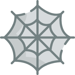 Spider web icon