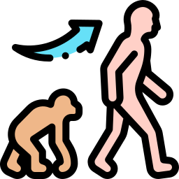 Evolution icon