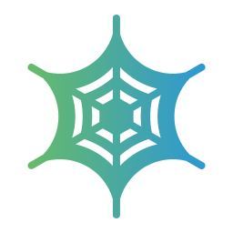 Spider web icon