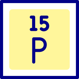 phosphor icon