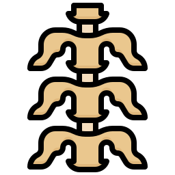 Backbone icon