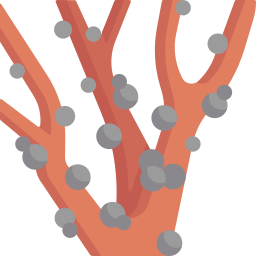 jabuticaba icona