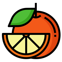 orangenscheibe icon