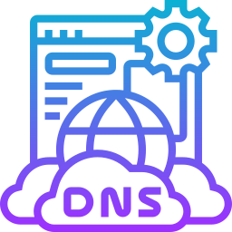 dns icon