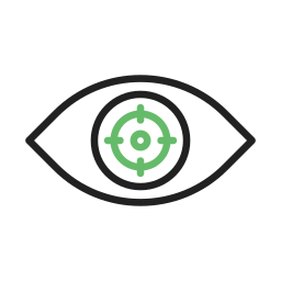 vision icon