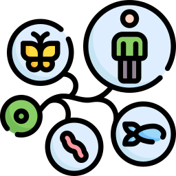 Evolution icon