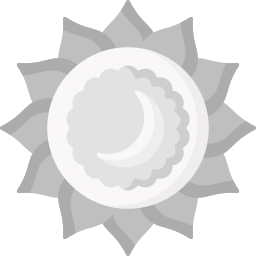 Moon icon