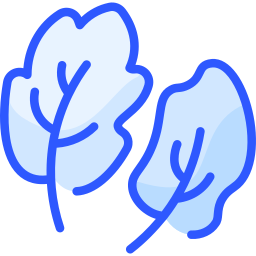 Leaf icon