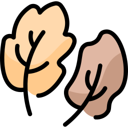 Leaf icon