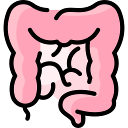 Intestine icon