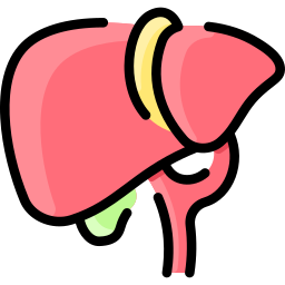 Liver icon