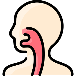 Respiratory system icon